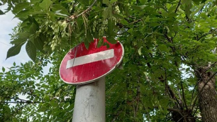 В Энгельсе на нескольких улицах временно запретят парковку