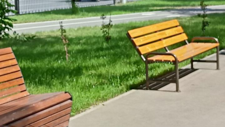 Новые скверы разобьют в Октябрьском районе Саратова