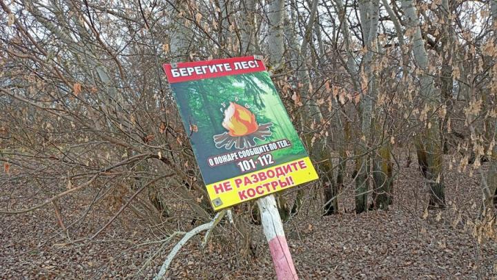 Костры под запретом в Саратовской области 