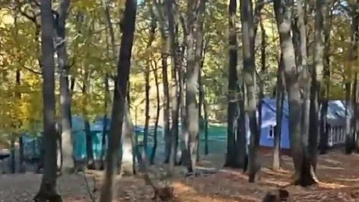 Появится ли в области саратовский «Артек»?