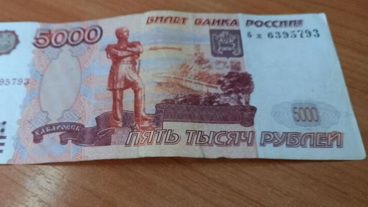 Четверть саратовских родителей тратит больше 10 тысяч рублей в неделю на репетиторов
