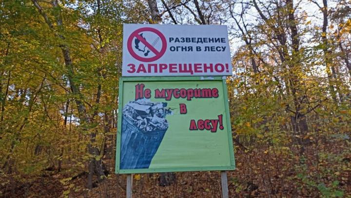В Саратовской области на охрану лесов от пожаров выделено свыше 150 млн рублей