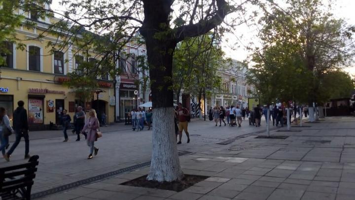 В Саратове посадили почти 170 деревьев