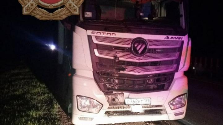 Ночью пешеход погиб под колёсами грузовика в Калининском районе