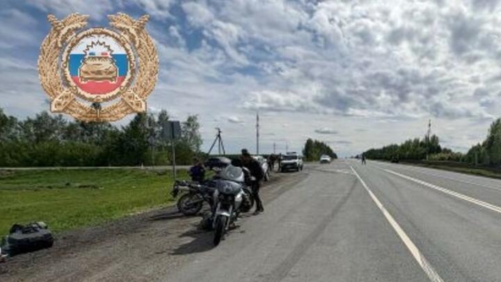 Под Петровском мотоциклист столкнулся с 