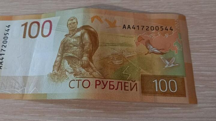 Саратовцы смогут стать участниками программы долгосрочных сбережений через Госуслуги