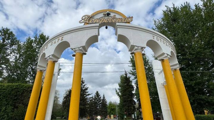 В Энгельсе появится новое муниципальное учреждение, которое займется содержанием парков и скверов