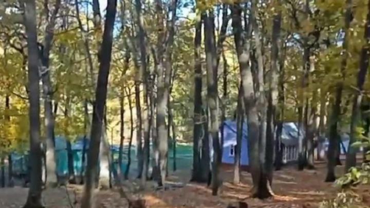 Какие детские лагеря закрылись в Саратовской области