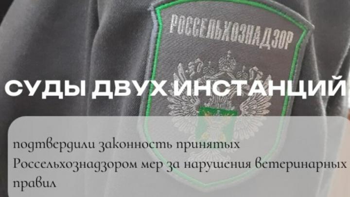 На саратовской птицефабрике выявлены нарушения санитарных правил