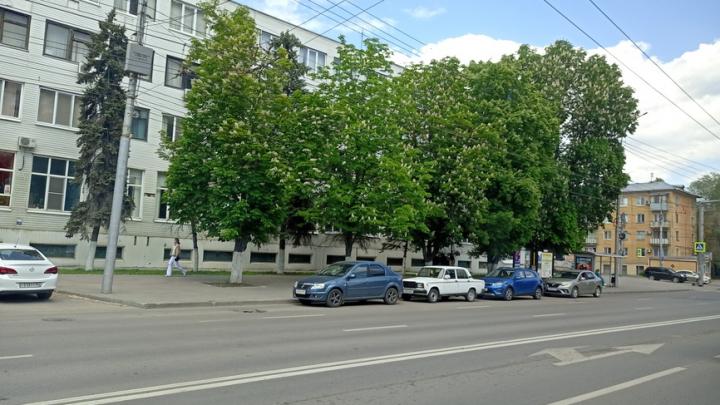 Саратовцам рассказали, когда можно нарушать ПДД
