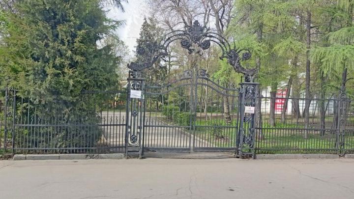 В саратовском саду 