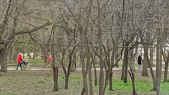 Еще больше саратовских многодетных семей получат выплаты вместо участков
