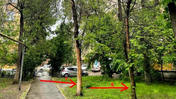 В саратовском сквере вырубят деревья, но обещают посадить новые