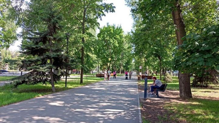 В Саратове благоустраивают сквер на проспекте 50 лет Октября от Технической до Сапёрной