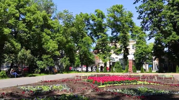 У памятника Пушкину в Липках расцветет ковер