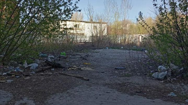 Больше 30 тысяч тонн мусора: со Столыпинского парка требуют 32 млн за ущерб природе