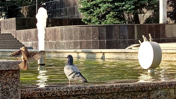 В Саратове ожидается жара до +31°C и сильный ветер