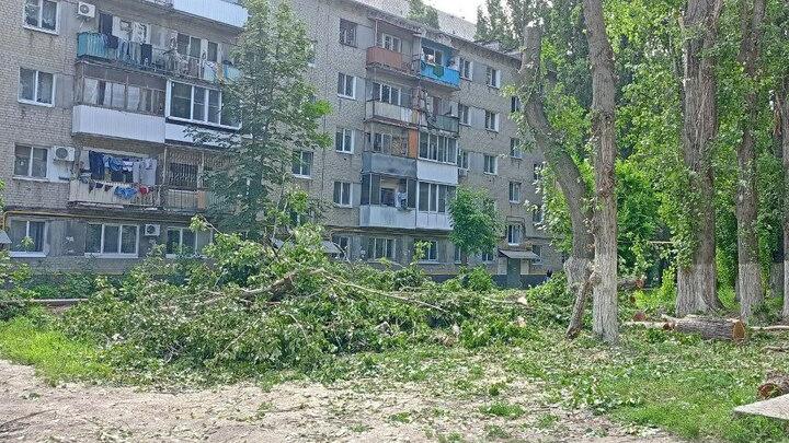 В Саратове девушку госпитализировали после падения ветки дерева