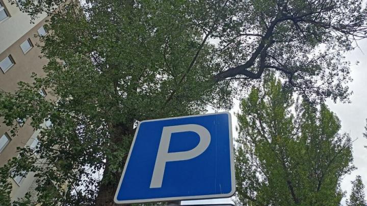 Парковка стала платной: сколько теперь придётся платить саратовцам?