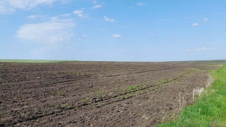 В Саратовской области 55 га земель вовлечено в сельхозоборот