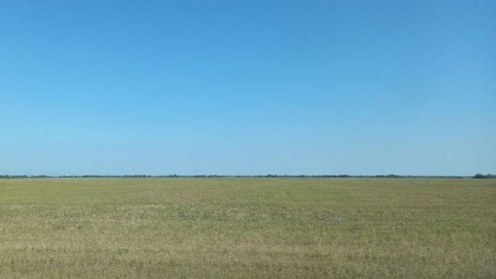 МЧС объявило в Саратовской области оранжевый уровень опасности