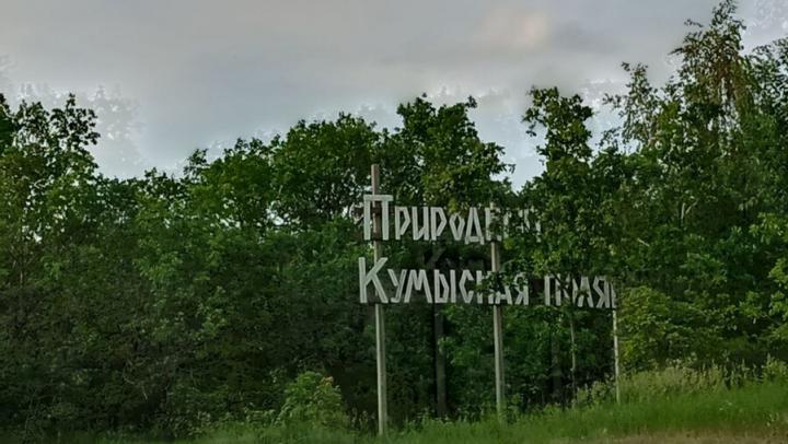Молодой водитель не справился с управлением: иномарка перевернулась на Кумысной поляне