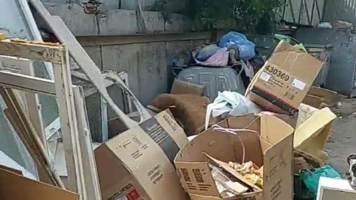 Контейнерная помойка на Батавина в Саратове перемещается на детские площадки
