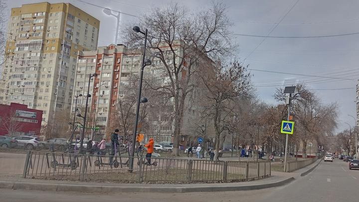 «Накатался и выкинул»: в Саратове дорогой самокат обнаружили в помойке