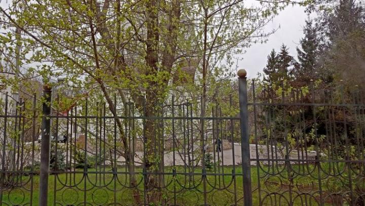 В Саратове снова объявили аукционы по благоустройству Детского парка и созданию скверов 