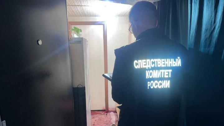 Саратовчанка убила сестру ударом ножа в шею