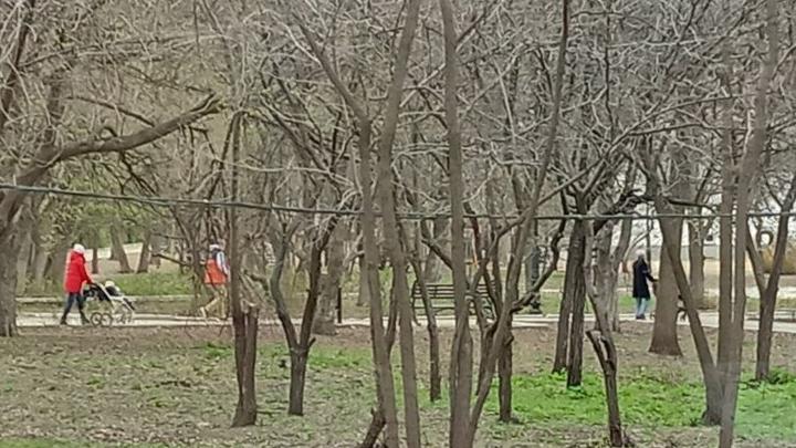 В саратовской думе предложили меры для решения демографических проблем в регионе