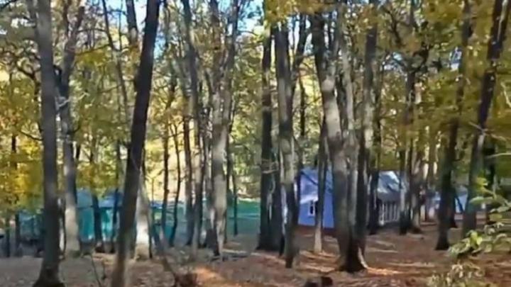 На оздоровительную кампанию в Саратовской области предусмотрено более 1 млрд рублей