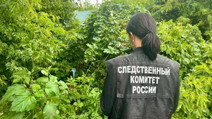 Под Энгельсом смертельно отравился ребенок