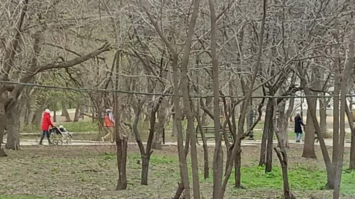 До 75% за аренду: в Саратовской области запустили новую выплату для родителей