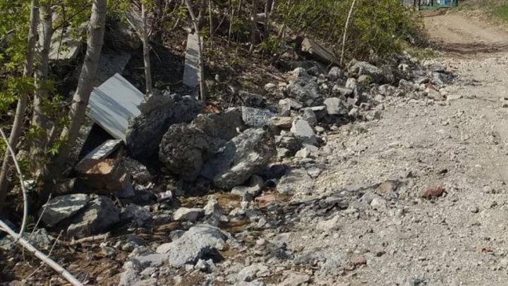 Глава СК взял на контроль ситуацию со свалкой в Гагаринском районе Саратова