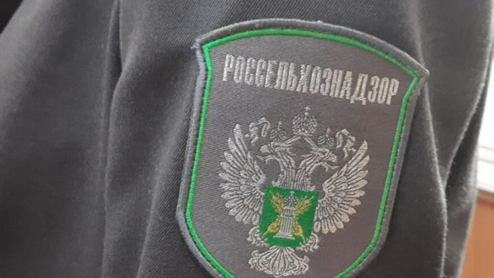 Россельхознадзор по Саратовской и Самарской областям выявил сайты с продажей незаконных ветпрепаратов
