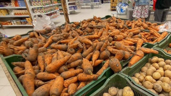 Лук, свекла и морковь стали дороже в Саратовской области