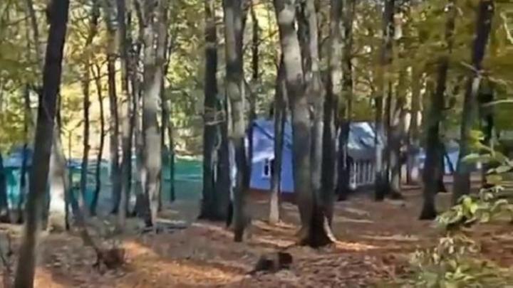 В саратовском лагере 