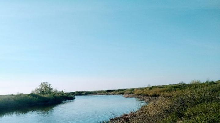 В Энгельсском пруду утонула 15-летняя девочка, вторую удалось спасти