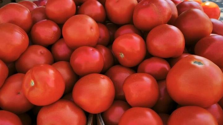 Жители Энгельса смогут приобрести сельхозпродукцию на ярмарке в центре города