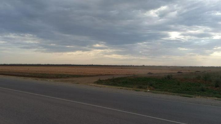 Житель Энгельса убил знакомого в поле выстрелом в затылок