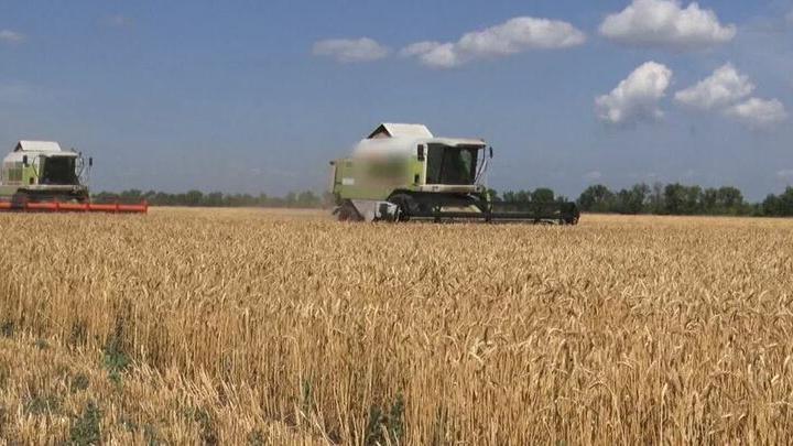В Энгельсском районе завершена уборка озимых культур