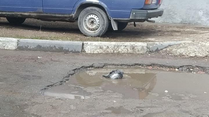 В Саратовской области ожидается переменная облачность и слабый дождь