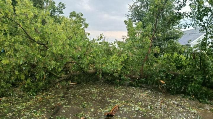 Ураган и ливень парализовали Калининск: жителей просят оставаться дома
