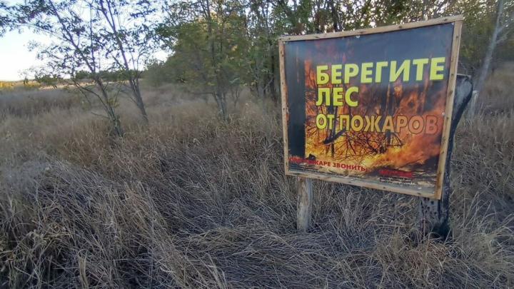 Саратовцам объяснили, почему осенние пожары опаснее весенних