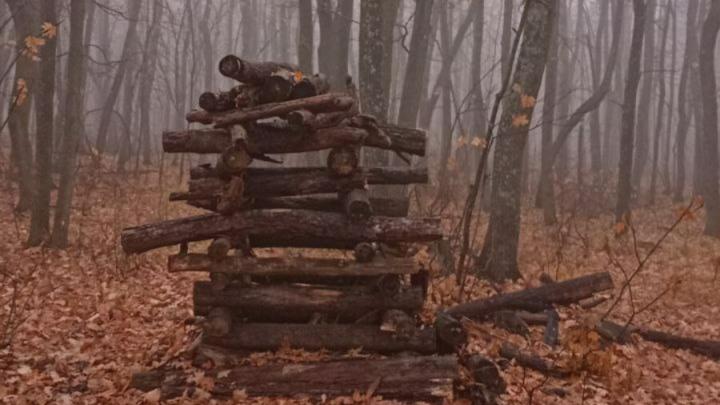 В Саратовской области туманно и холодно