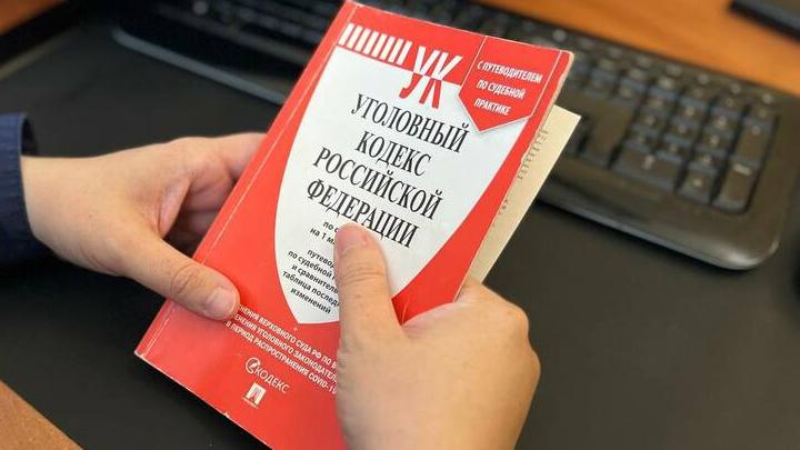 В Саратове на студенческой вечеринке девушка попыталась оторвать голову сокурснице