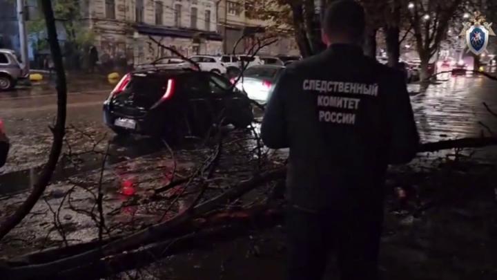 В Саратове чиновница признана виновной в падении ветки на девушку