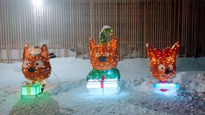 Мокрый снег, лед и туман в Саратовской области
