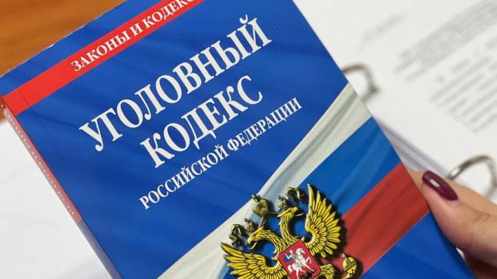 «Приехала из Коми  и пнула полицейского»: необычный инцидент в Саратове